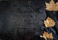 Halloween background with black raven feathers and autumn leaves on dark grunge backdrop. Scary autumn gothic abstract design with Royalty Free Stock Photo