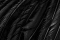 Halloween background with black raven feathers on dark grunge backdrop. Horror gothic abstract design