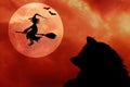 Halloween background with cat, bats, full moon and flying witch Royalty Free Stock Photo