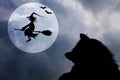 Halloween background with cat, bats, full moon and flying witch Royalty Free Stock Photo