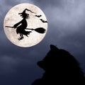 Halloween background with cat, bats, full moon and flying witch Royalty Free Stock Photo