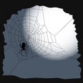 Halloween background - the cobweb and a spider Royalty Free Stock Photo