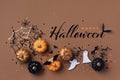 Halloween background with decorations from pumpkins, bats, spider web and ghosts top view. Holiday card with text Happy halloween Royalty Free Stock Photo