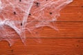 Halloween Background With Decorative Creepy Web And Spiders On Orange Wooden Boards. Blank Space For Text.