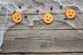 Halloween background with decorative pumpkins, creepy web and sp Royalty Free Stock Photo