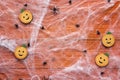 Halloween background with decorative pumpkins, creepy web and sp Royalty Free Stock Photo