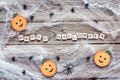 Halloween background with decorative pumpkins, creepy web and spiders on old wooden boards. Royalty Free Stock Photo