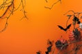 Halloween background. Flock of black bats, spider, pumpkin, skeleton and leaves for Halloween. Black paper bat silhouettes on oran Royalty Free Stock Photo
