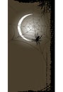 Halloween background with full moon and spider web Royalty Free Stock Photo