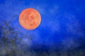 Halloween background ~ Full Moon & Twisted Tree Branches Royalty Free Stock Photo