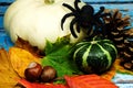 Halloween background - Halloween background -white pumpkin and black spider and autumn leaves on blue background.