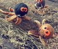 Halloween background, handmade, pumpkin, spider, october Royalty Free Stock Photo