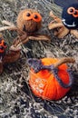 Halloween background, handmade, pumpkin, spider, october Royalty Free Stock Photo