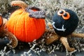 Halloween background, handmade, pumpkin, spider, october Royalty Free Stock Photo