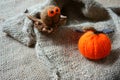 Halloween background, handmade, pumpkin, spider, october Royalty Free Stock Photo