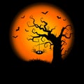 Halloween Tree Background Royalty Free Stock Photo