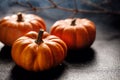 Halloween background miniature pumpkins on a dark background