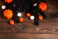 Halloween background, orange decorative plastic pumpkin black paper bat black cardboard Thanksgiving greeting card