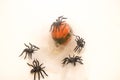 Halloween table setting. Halloween background. Orange pumpkin. Huge black spiders with cobwebs. Happy Halloween concept.