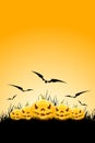 Halloween background with pumpkins and grass