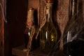 Halloween background Shelves with alchemy tools Skull spiderweb bottle with poison candles