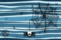 Halloween background with spider, cobweb and bats - drop shadow Royalty Free Stock Photo