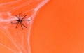 Halloween background with spider web and black spider on orange decorations holidays festive for party accessories object Royalty Free Stock Photo
