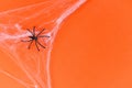 Halloween background with spider web and black spider on orange decorations holidays festive for party accessories object Royalty Free Stock Photo