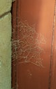 Halloween background, spider web on an old abandoned door Royalty Free Stock Photo