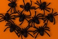 Halloween background with spiders as symbols of Halloween on the orange background