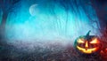 Halloween Spooky Forest Royalty Free Stock Photo