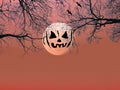 Halloween background. Spooky forest with silhouette dead trees a Royalty Free Stock Photo