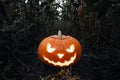 Halloween background. Spooky glowing jack-o-lantern pumpkin on the ground in a cornfield. Royalty Free Stock Photo