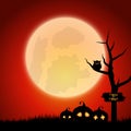 Halloween background with spooky landscape Royalty Free Stock Photo