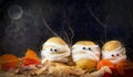 Halloween background. Spooky potatoes wrapped in medical bandages in autumn leaves on a dark night. Halloween food. Copy space