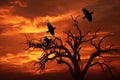 Halloween background with tree and ravens on orange sunset sky. A captivating image of a majestic African eagle perched on a tree