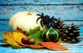 Halloween background - Halloween background -white pumpkin and black spider and autumn leaves on blue background.