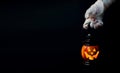 Halloween background. Zombie hand holding a lantern in the form of a pumpkin on a dark background. Halloween design. Copy space Royalty Free Stock Photo