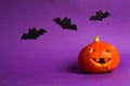 Halloween backgrounds of Jack lantern natural pumpkin, spiders and black bats on a purple background with terrible scenery. Horror