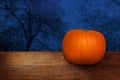 Halloween banner with pumpkin on wood, blue night