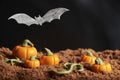 Halloween, bat flying over a sugar paste pumpkin patch, chocolate cake ground