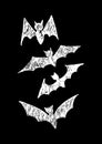Halloween bat scary face Vector icon set Royalty Free Stock Photo