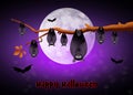 Halloween bats Royalty Free Stock Photo