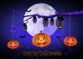 Halloween bats Royalty Free Stock Photo