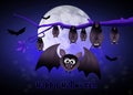 Halloween bats Royalty Free Stock Photo