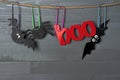 Halloween bats, spider and red `boo` photo booth props Royalty Free Stock Photo