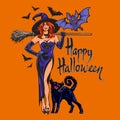 Halloween beautiful sexy witch holding broomstick, black cat and bats. Cartoon style vector illustration on orange background Royalty Free Stock Photo