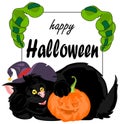 Halloween black cat