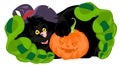 Halloween black cat