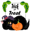 Halloween black cat